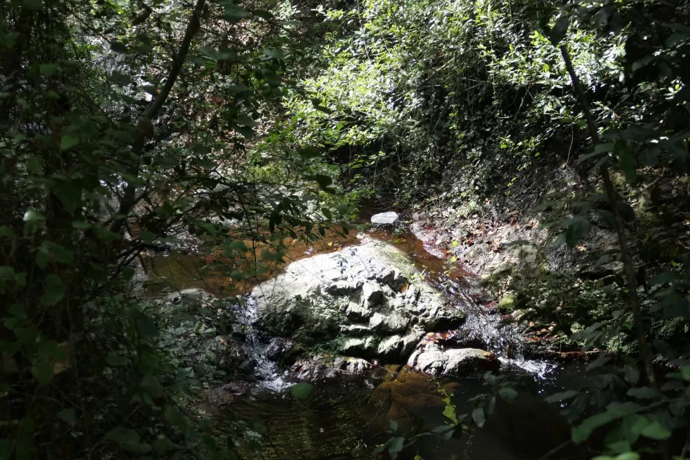 marmites cascade cours d'eau rochers