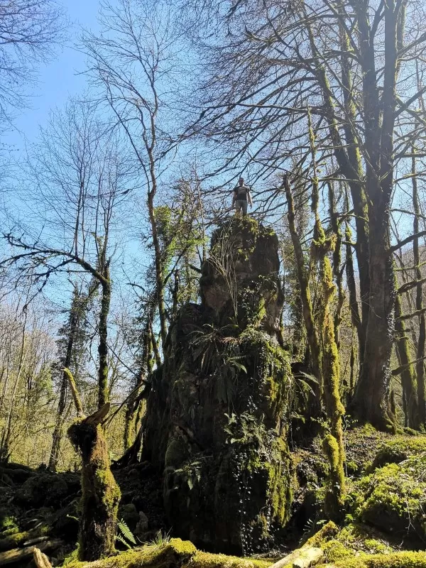 La cascade de Planque