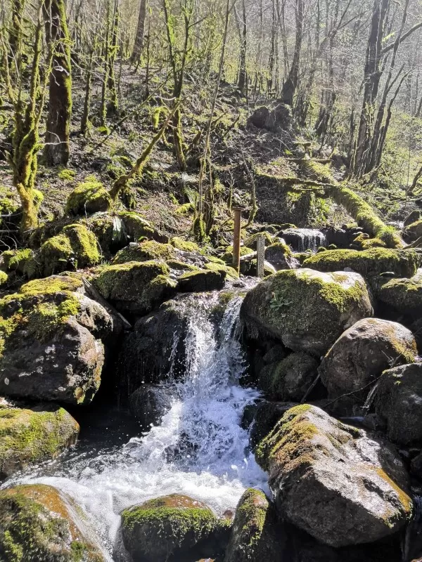 Le ruisseau de Planque