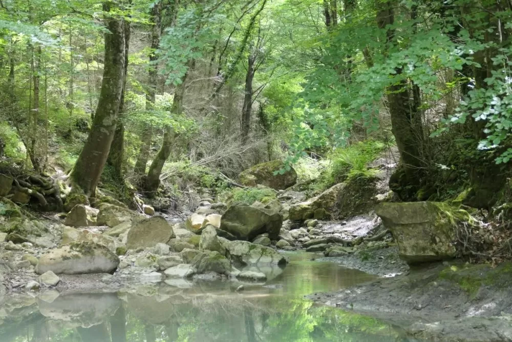 Sentier escarpé en sous-bois