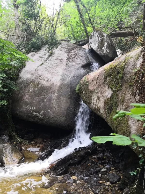 Le parc naturel du Sidobre