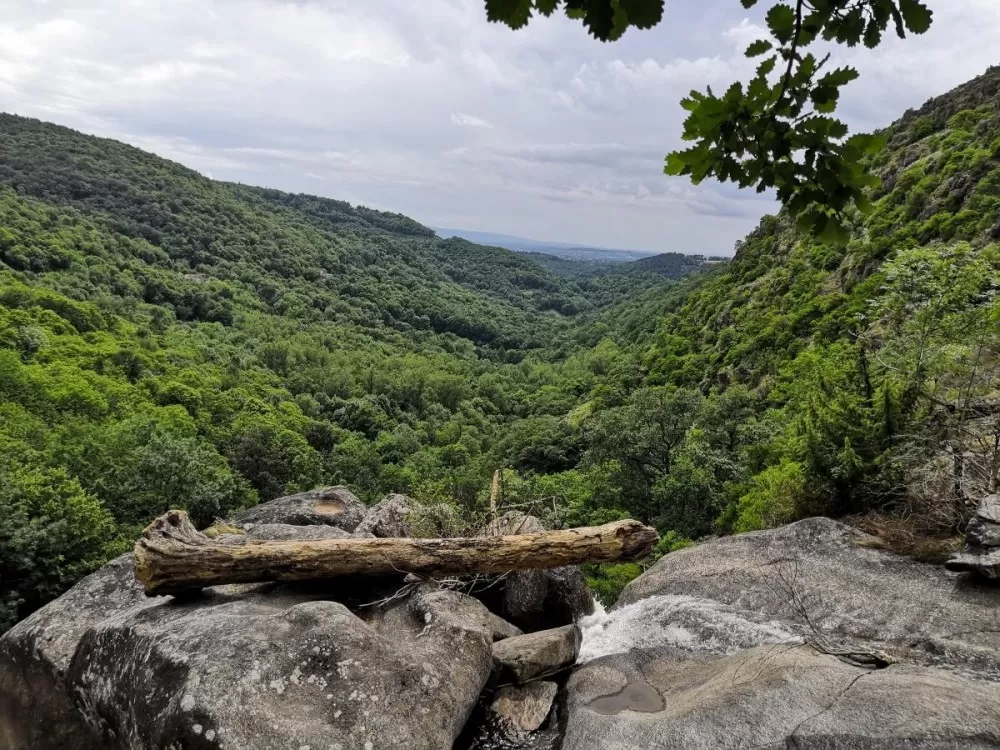 La remontée de l’Agout