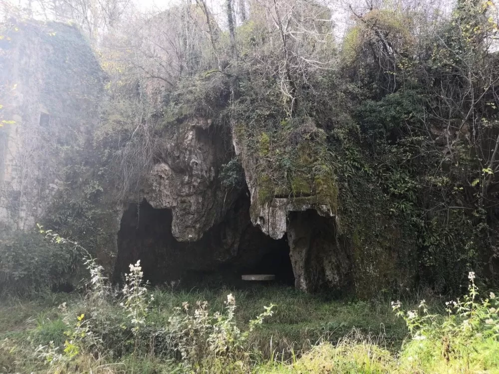 La cascade pétrifiante