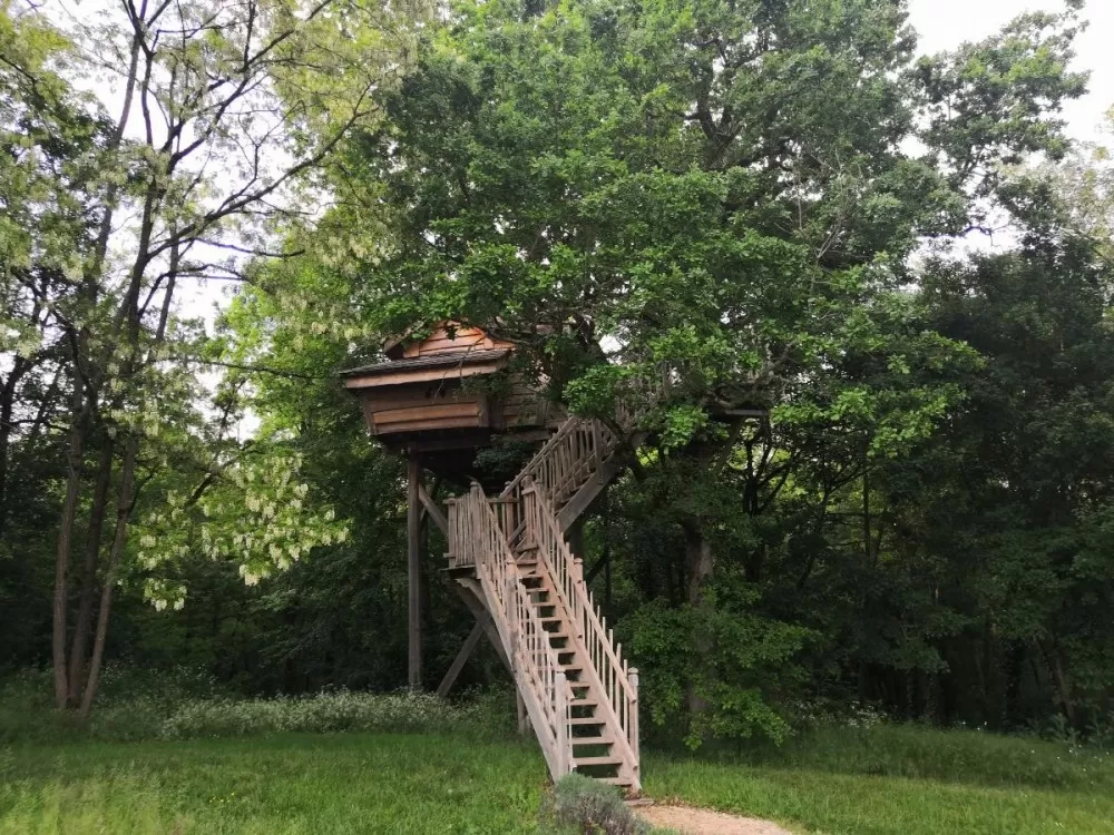 La cabane perchée