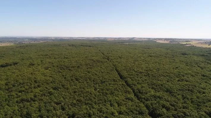 Forêt de Buzet  parkings et pique nique