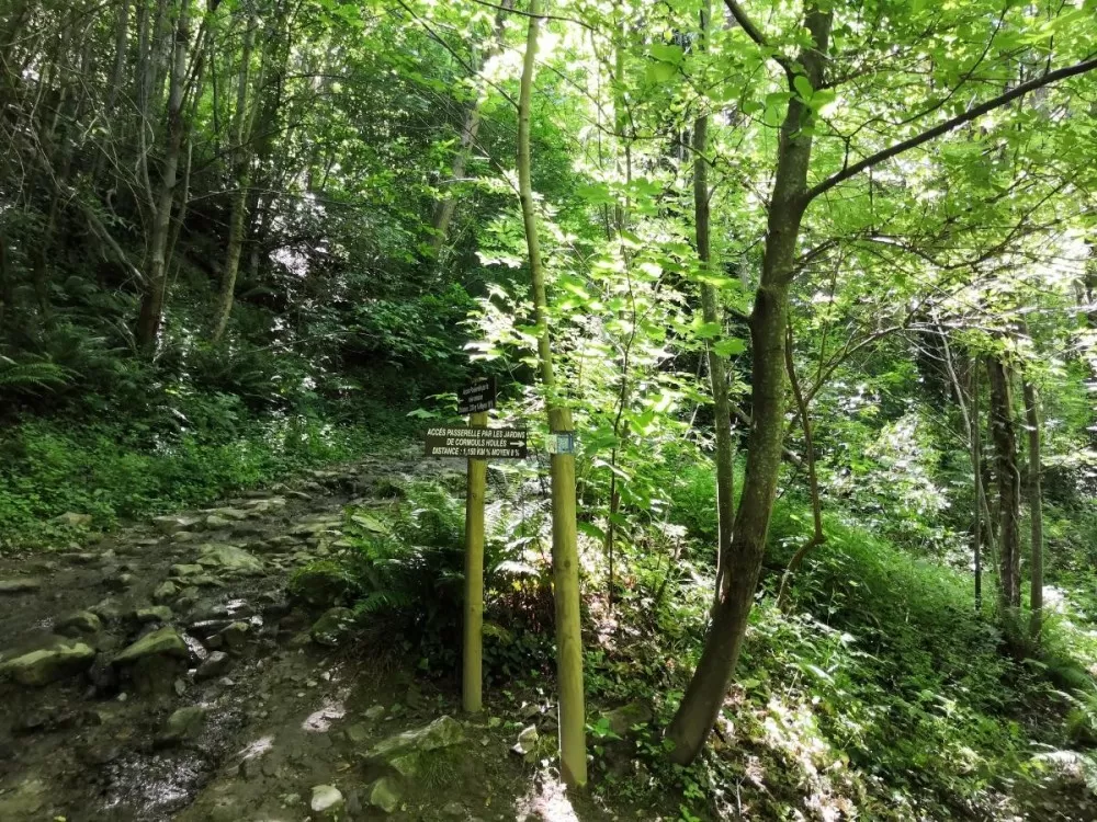 Les sentiers d’accès à la passerelle de Mazamet