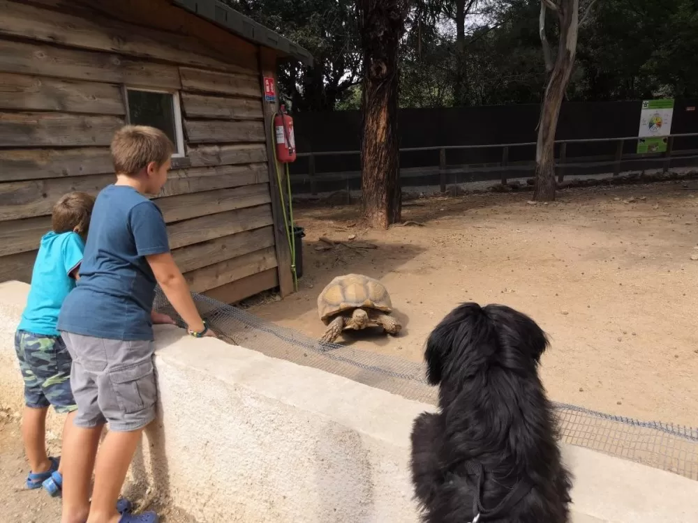 La vallée des tortues