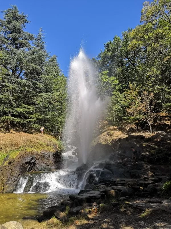 Cascades et geyser