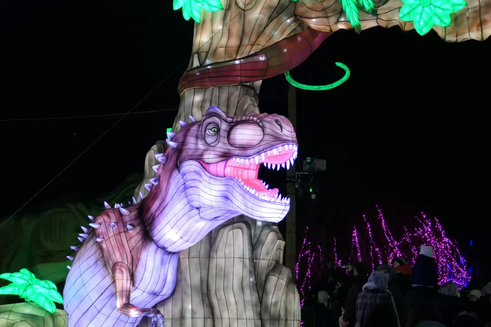 dinosaures panda blagnac festival lanternes