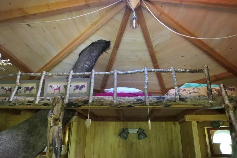 La cabane dans les arbres