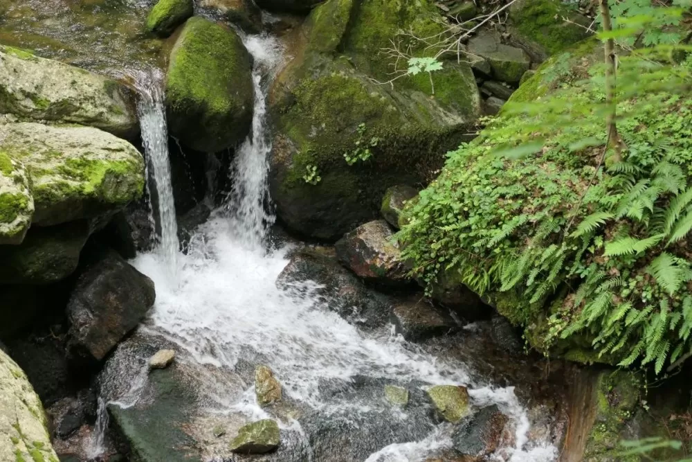 Les gorges de la Carança