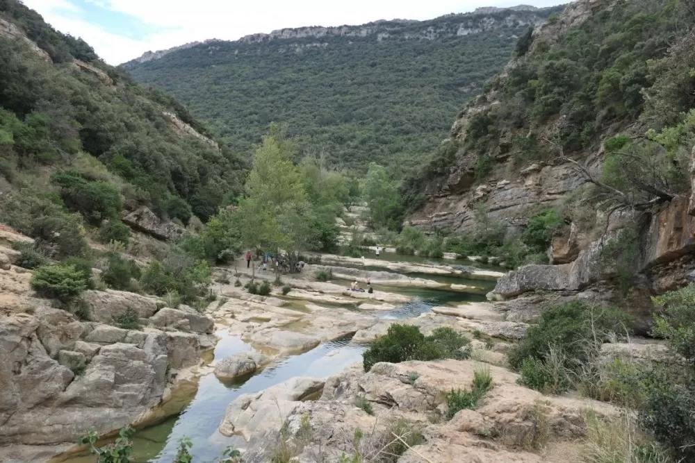 Le moulin de Ribaute