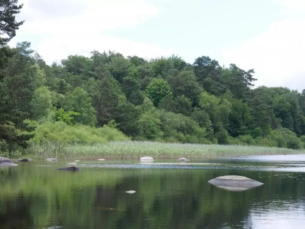 Le lac du Merle