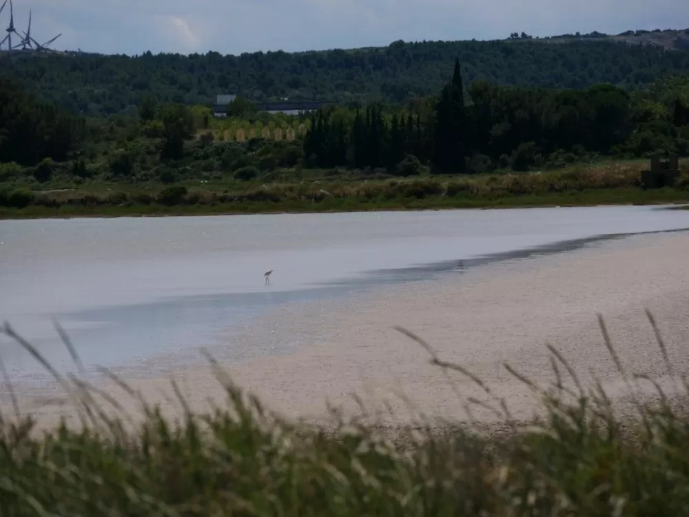 Les Salins