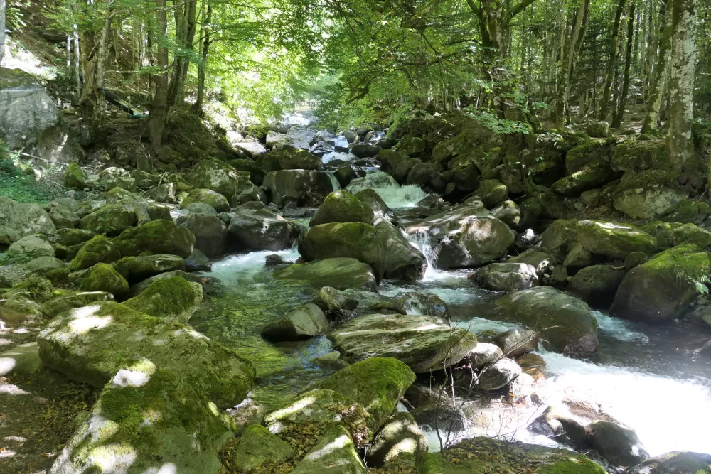 accrobranche canyoning réserve Orlu Ariège Occitanie