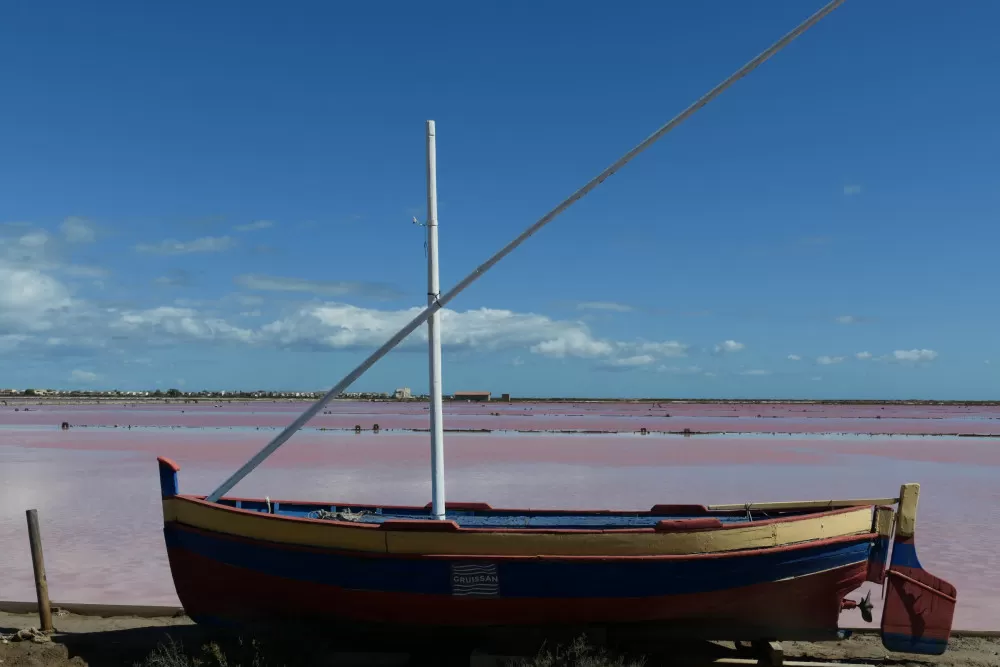 salin sel huitres rose