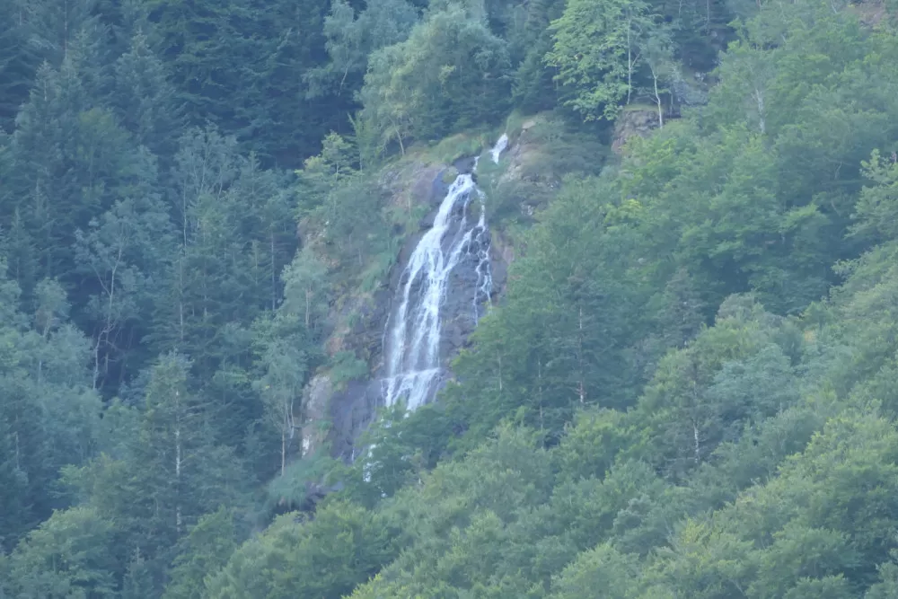 parc animalier loup orlu réserve cascade