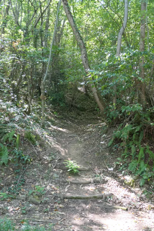 randonnée forêt Prayols Ariège Occitanie cascade