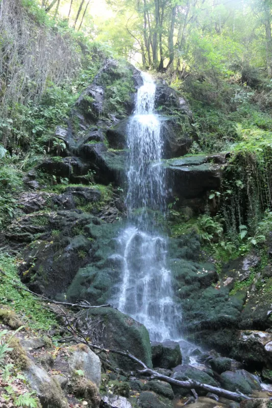 cascade de la Piche Ariège Occitanie forêt randonnée
