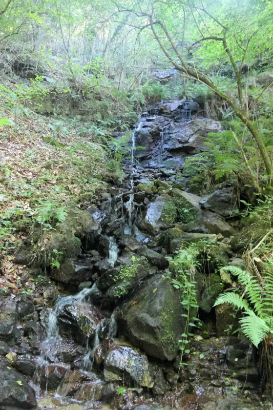 cascade Occitanie Ariège randonnée forêt