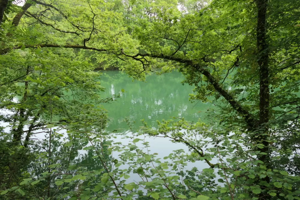 lac de la bancalié Occitanie Tarn pêche balade paddle barage