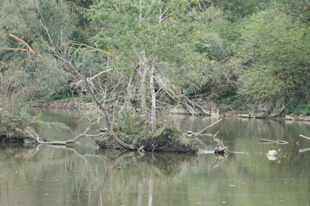 lacs de quinze sols Blagnac Toulouse Occitanie balade pêche