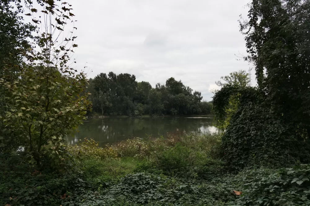 lac des quinze sols Garonne Blagnac Beauzelle balade