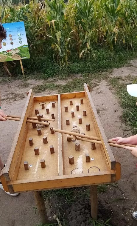 parcours en bois énigmes labyrinthe escape game nature