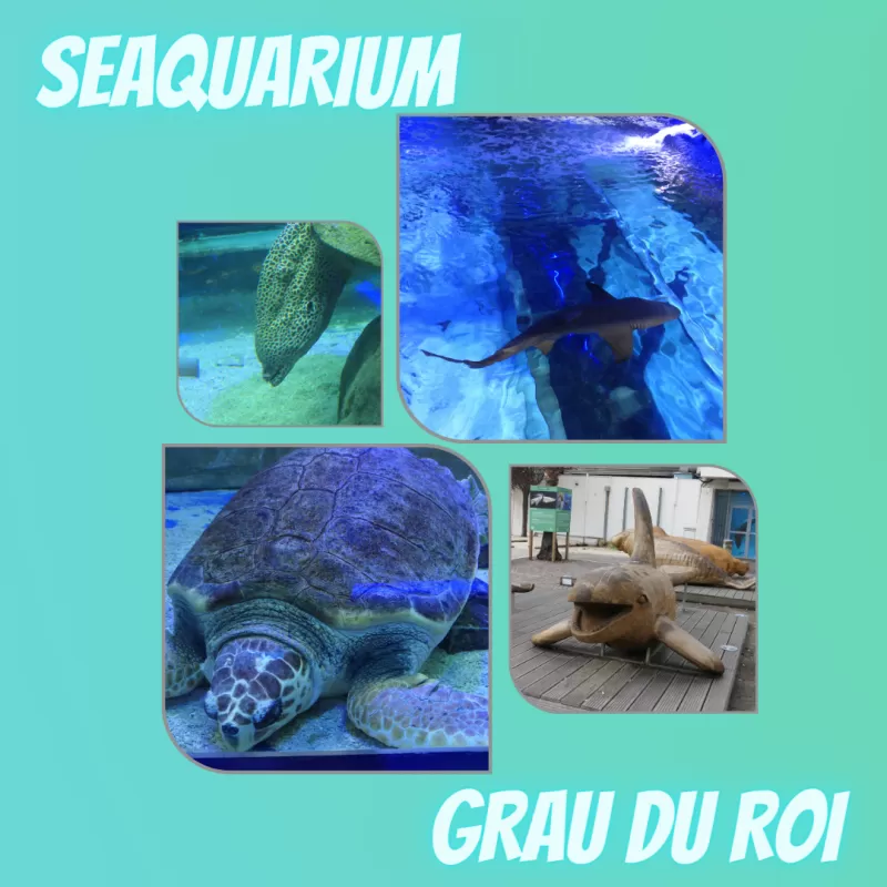aquarium visite grau du roi famille plage mer océan